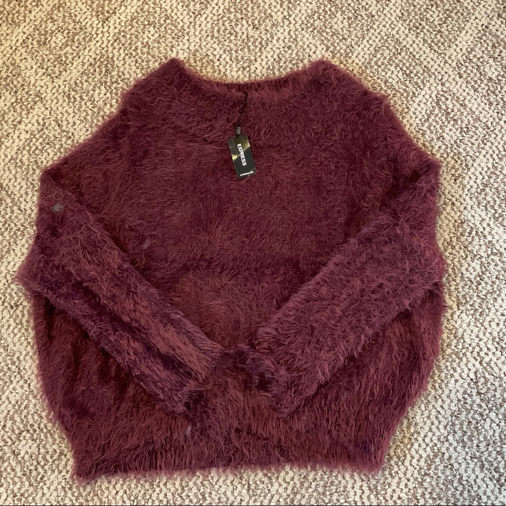 NWT Express maroon sweater
